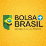 bolsa brasil-1